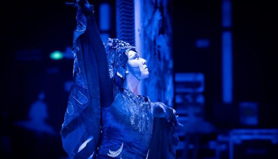 Балет «Лебединое озеро», Вельск