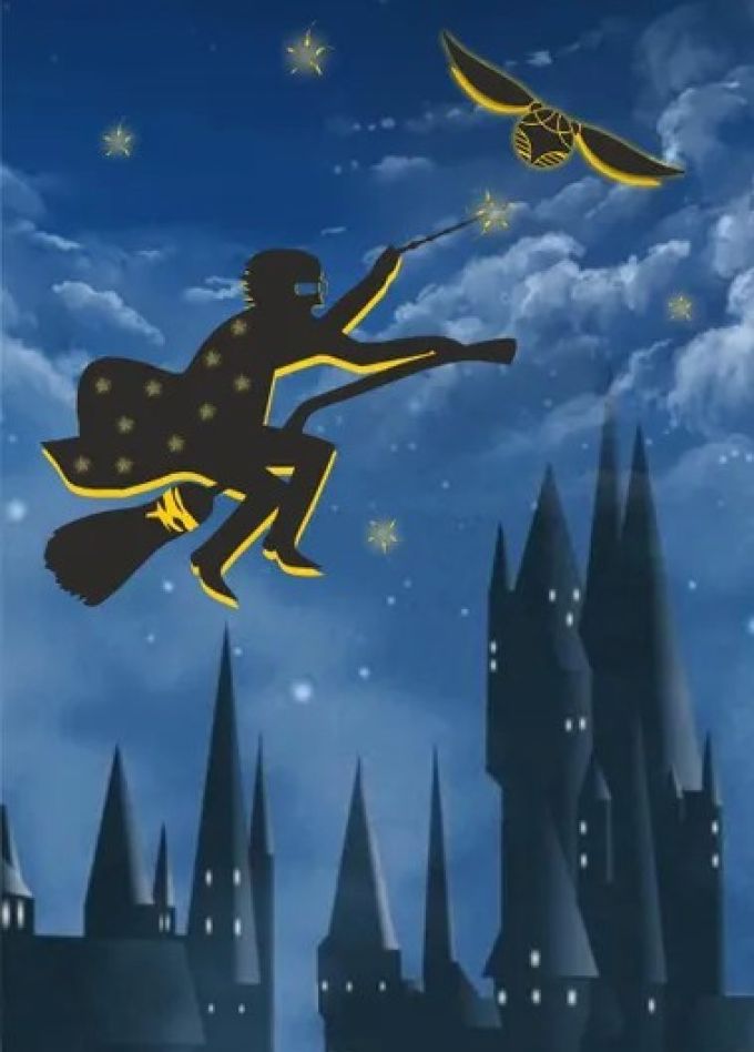 Концерт «Гарри Поттер: Путешествие в Хогвартс», Северодвинск