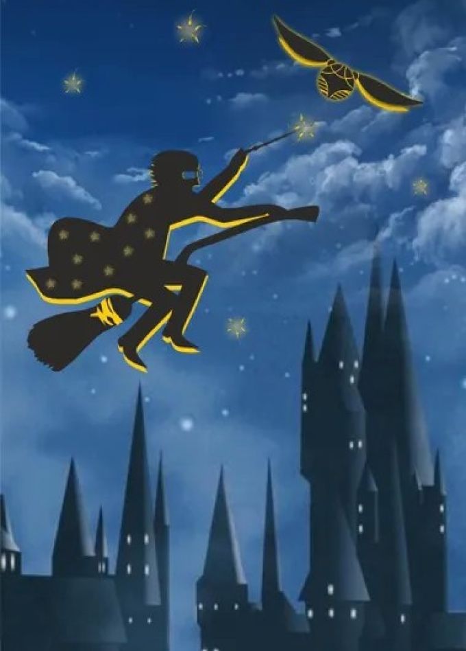 Концерт «Гарри Поттер: Путешествие в Хогвартс»