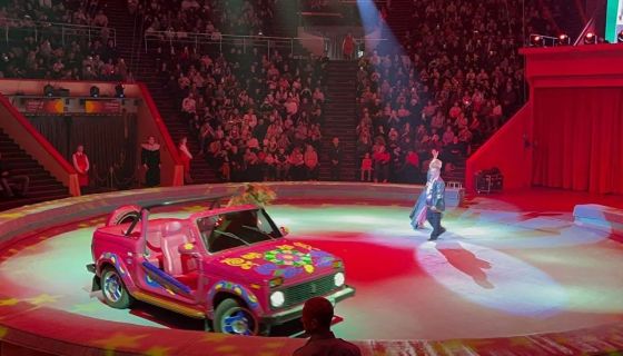 Цирк «Медведи на кабриолете»