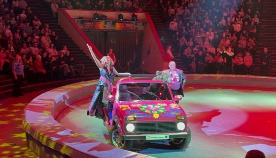 Цирк «Медведи на кабриолете»