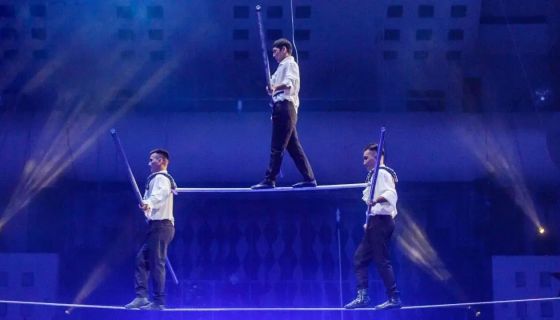 Цирк «Медведи на кабриолете»