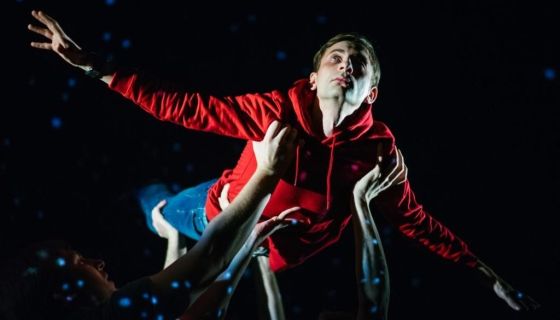 Спектакль «Загадочное ночное убийство собаки»