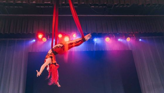 Цирк «Принцесса и Лабубу», Новодвинск