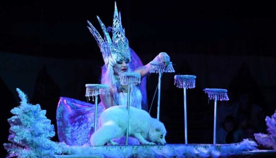 Цирк «Принцесса и Лабубу», Новодвинск