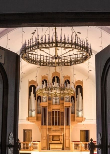 Концерт АФКО и солист Сергей Полтавский (альт / viola d'amour, Москва)