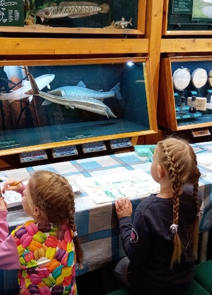 Важская палитра. Изостудия