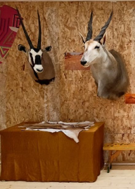 Африка...Сафари. Выставка