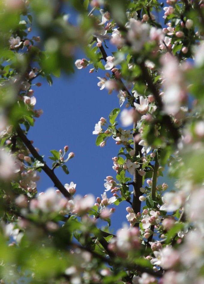 Мир! Труд! Май!