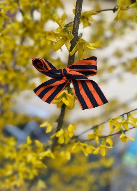 Великий День Победы. Концертная программа